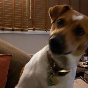 Meet your Posher, John